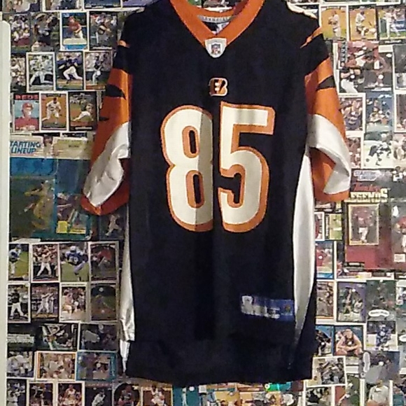 Chad Johnson Jersey - Picture 2 of 3